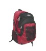 backpack( backpack bag, leisure backpack)