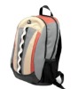 backpack,     bag   fashion bag  laptop bag