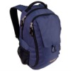backpacks dull purple