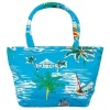 beach bag/lady bag/handbag