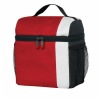 beach cooler bag(NV-D053)