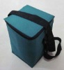 beautiful beer can cooler bags