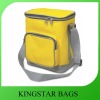 beautiful ice bag, lunch bag made in polyester