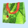 beautiful pp woven packing bag