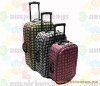 beautiful pupolar fashional carry-on trolley travel eva bag case luggage sets