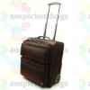 beautiful pupolar fashional trolley board bag air bag