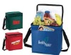 beauty cooler bags