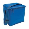 beer can insulated cooler bag