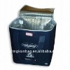 beverage cans cooler bag with clear eco-friendly lining