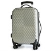 big vilume travel luggage case