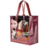 blank PP laminated non woven grocery bag(Gre-042203)