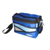 blue cooler bag