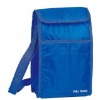 blue polyester cooler bag for frozen food