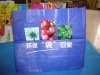 bopp laminated pp woven bag