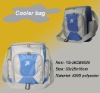 bottle cooler bag