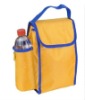 bottle cooler bag(NV-D046)