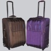 bright color luggage case