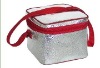 can cooler  bag