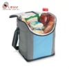 can cooler bag