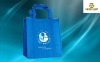 cangnan new 75gms non woven bags
