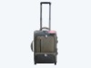 canvas luggage