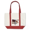 canvas shopping bag