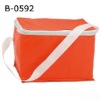 capacious Insulation bag