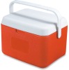 car  cooler  box