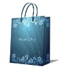 carry bag