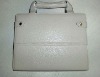 carry bag for ipad 2