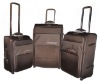 carry on luggage/suitcase