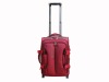 carry on luggage/suitcase