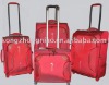 carry on luggage/suitcase