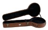 case for banjo, Banjo Case, Banjo Hard case