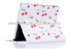 case for ipad 2