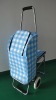 chair trolley cooler bag with seat