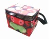 cheap 12 packs insulated kooler bag