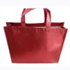 cheap promotional non woven bag