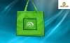 china 2012 new pp non woven carrying bag