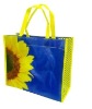 cn overstock PP shopping bag