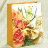 coated paper shopping bags