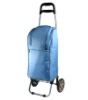 collapsible trolley