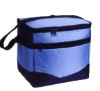 colorful cooler bags