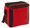 colorful cooler bags