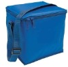 colorful cooler bags