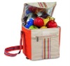 colorful cooler bags