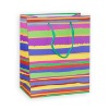 colorful gift bag
