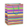 colorful gift bag