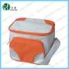 colorful spring picnic cooler bag