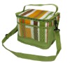 colorful striped lunch bag